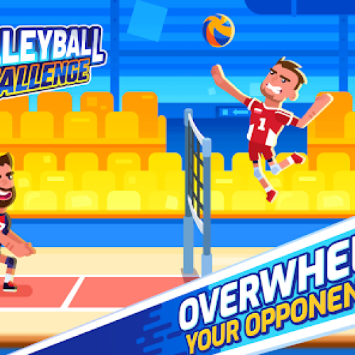 VOLLEYBALL CHALLENGE